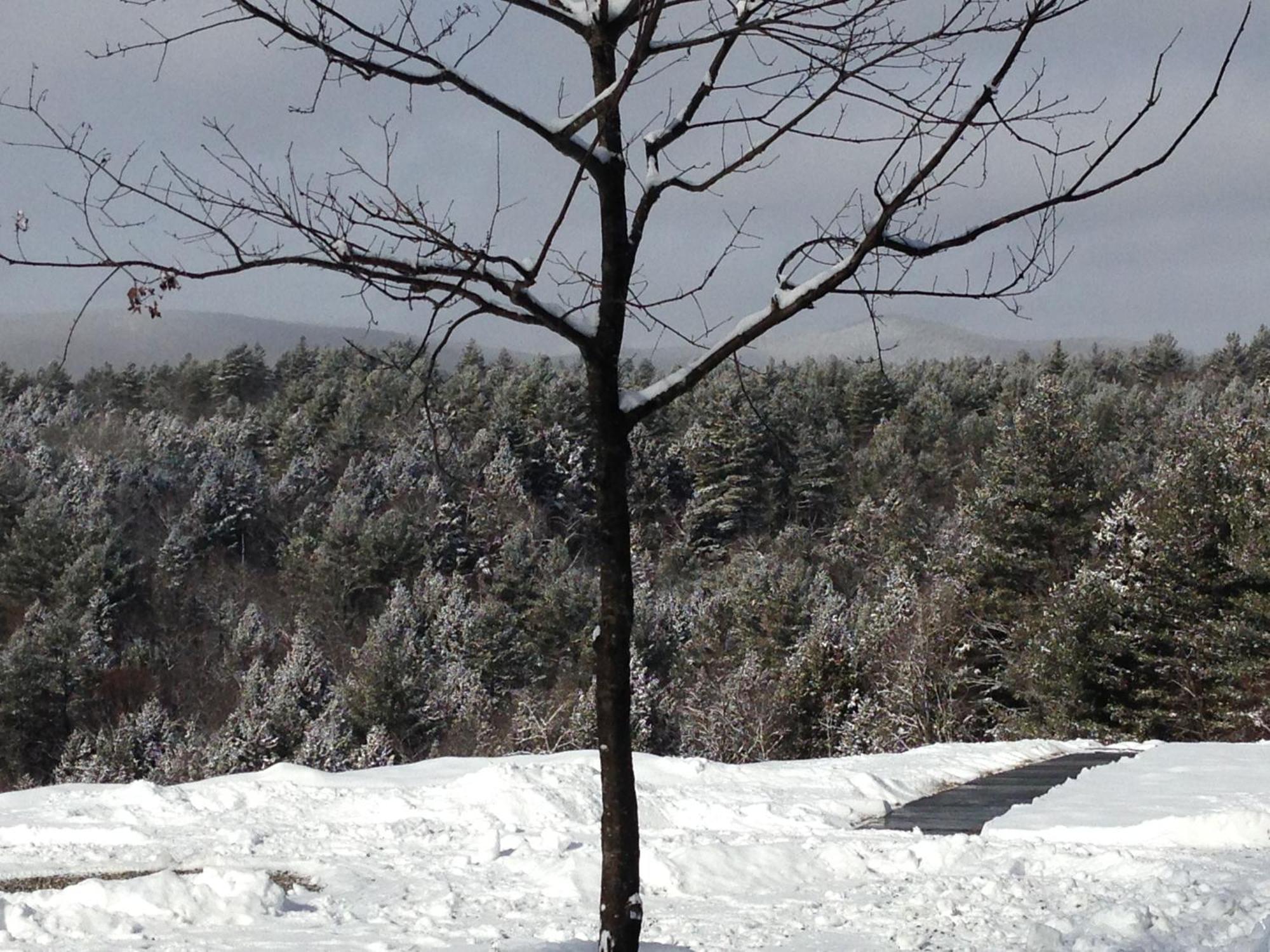 Adams Hill House Retreat - Artist-Architect'S Estate, Newfane Vermont Exterior foto